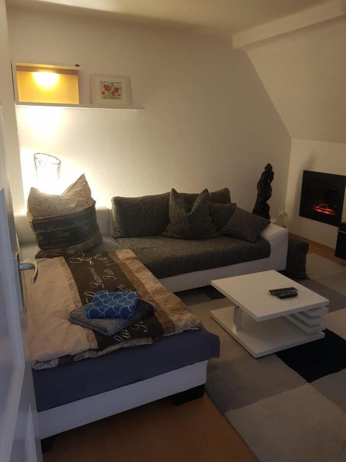 Apartment Am Suedpark Erfurt - Inkl Garten Mit Sitzlounge - Zentrumsnah Exteriér fotografie