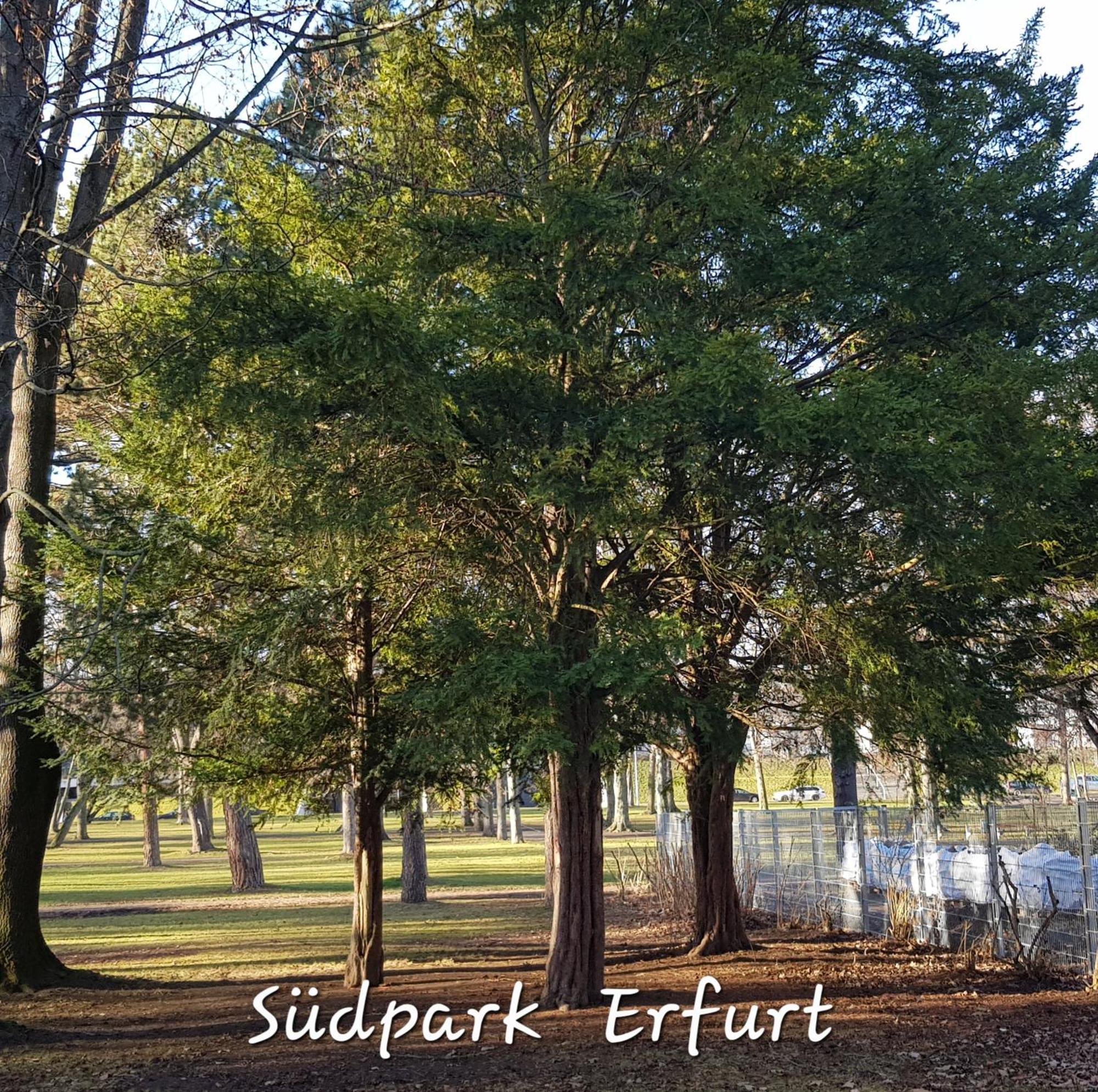Apartment Am Suedpark Erfurt - Inkl Garten Mit Sitzlounge - Zentrumsnah Exteriér fotografie